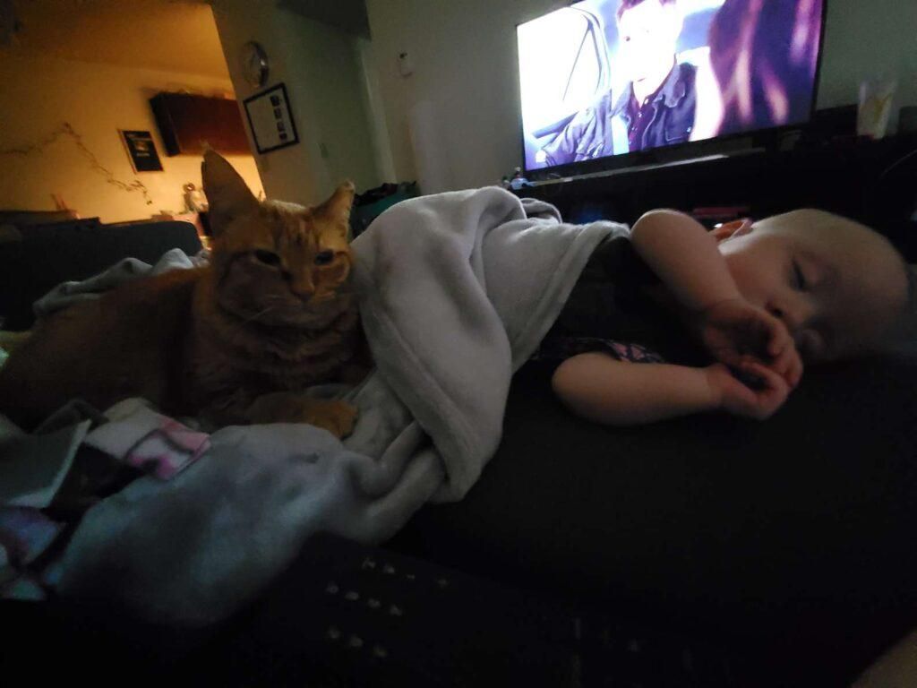Кіт спить з дитиною
