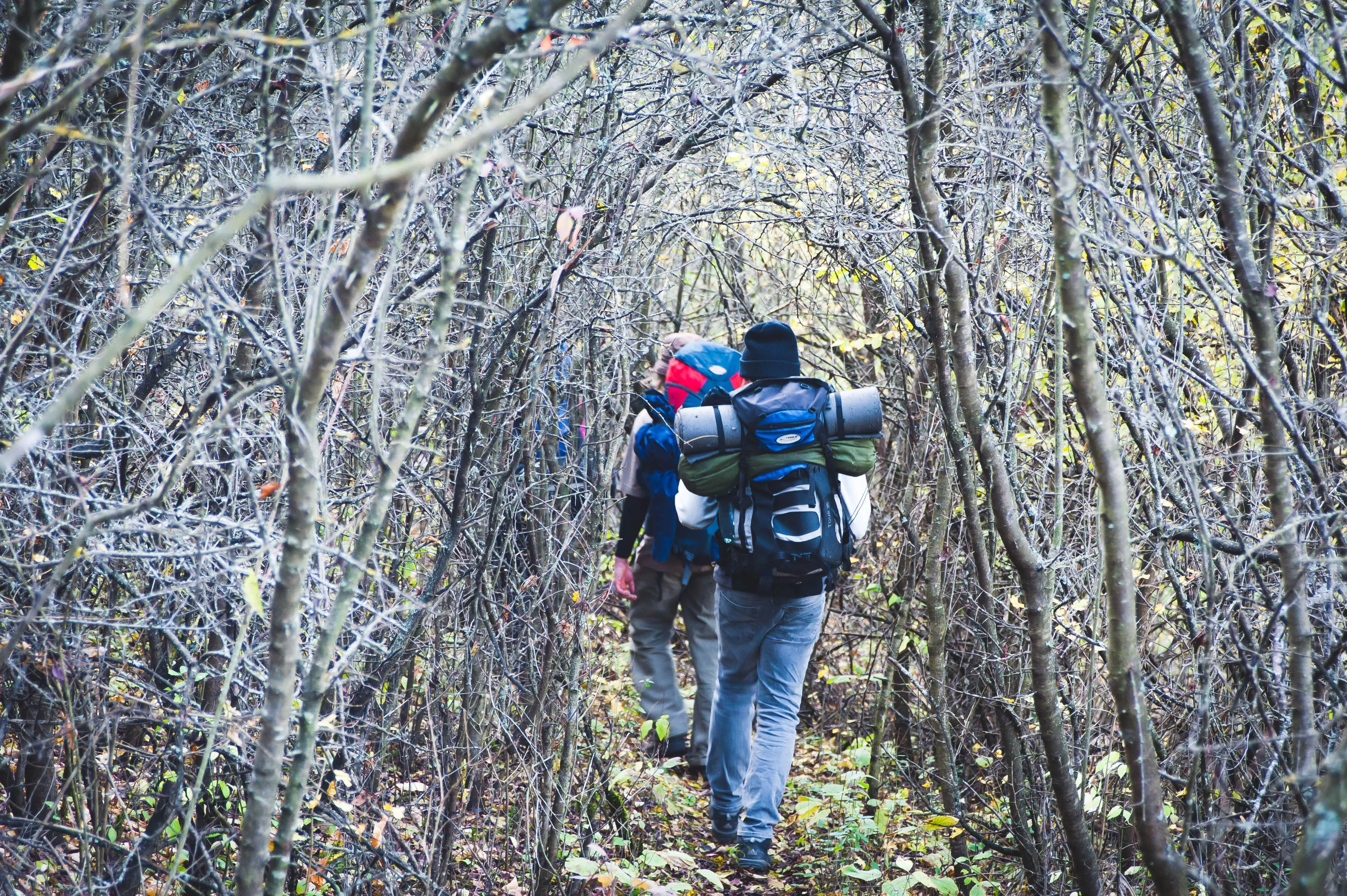 Покинуті села України, проєкт Покинуті села України, проєкт