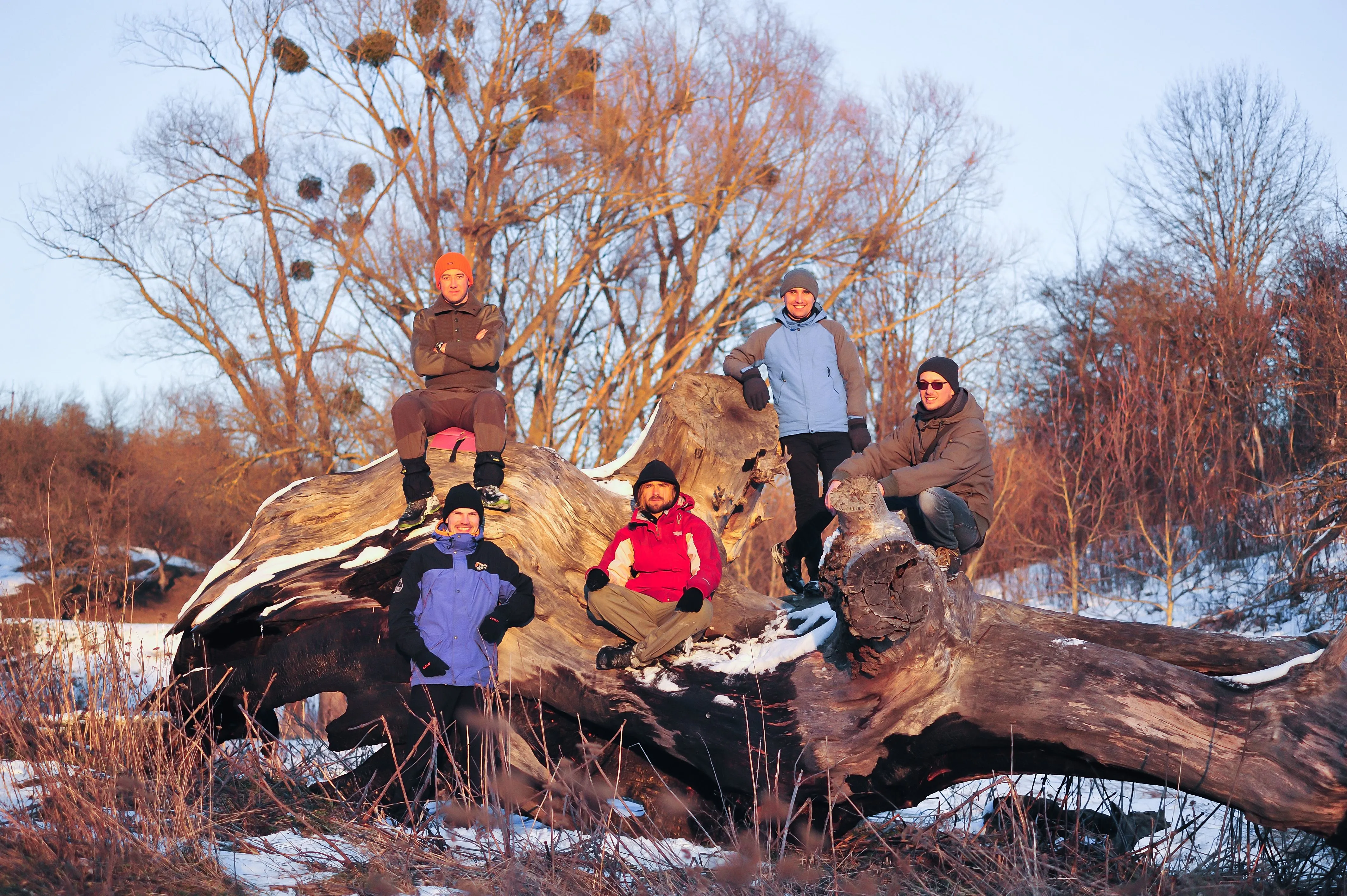 Проєкт Проєкт