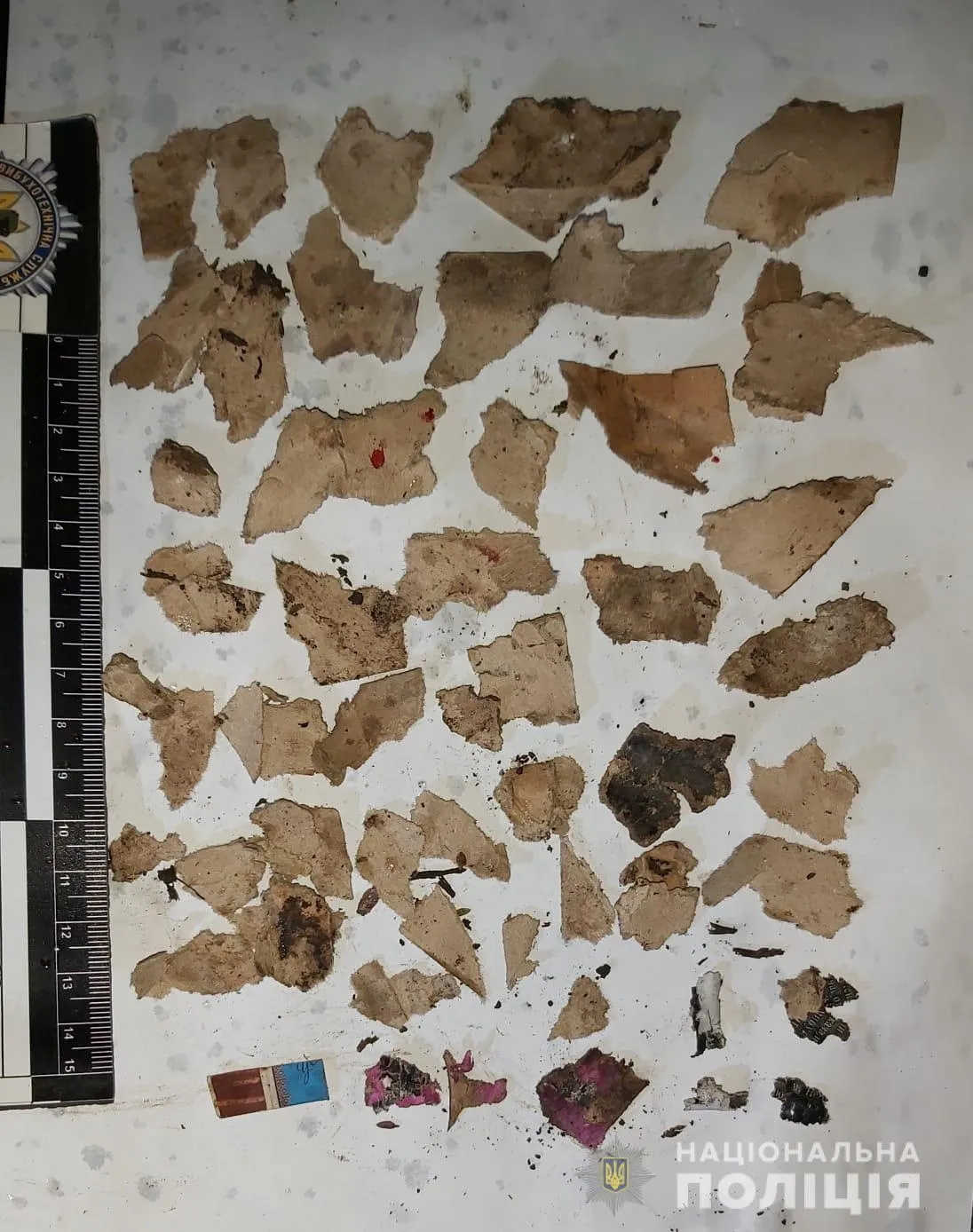 На Харківщині дитині відірвало палець петардою На Харківщині дитині відірвало палець петардою