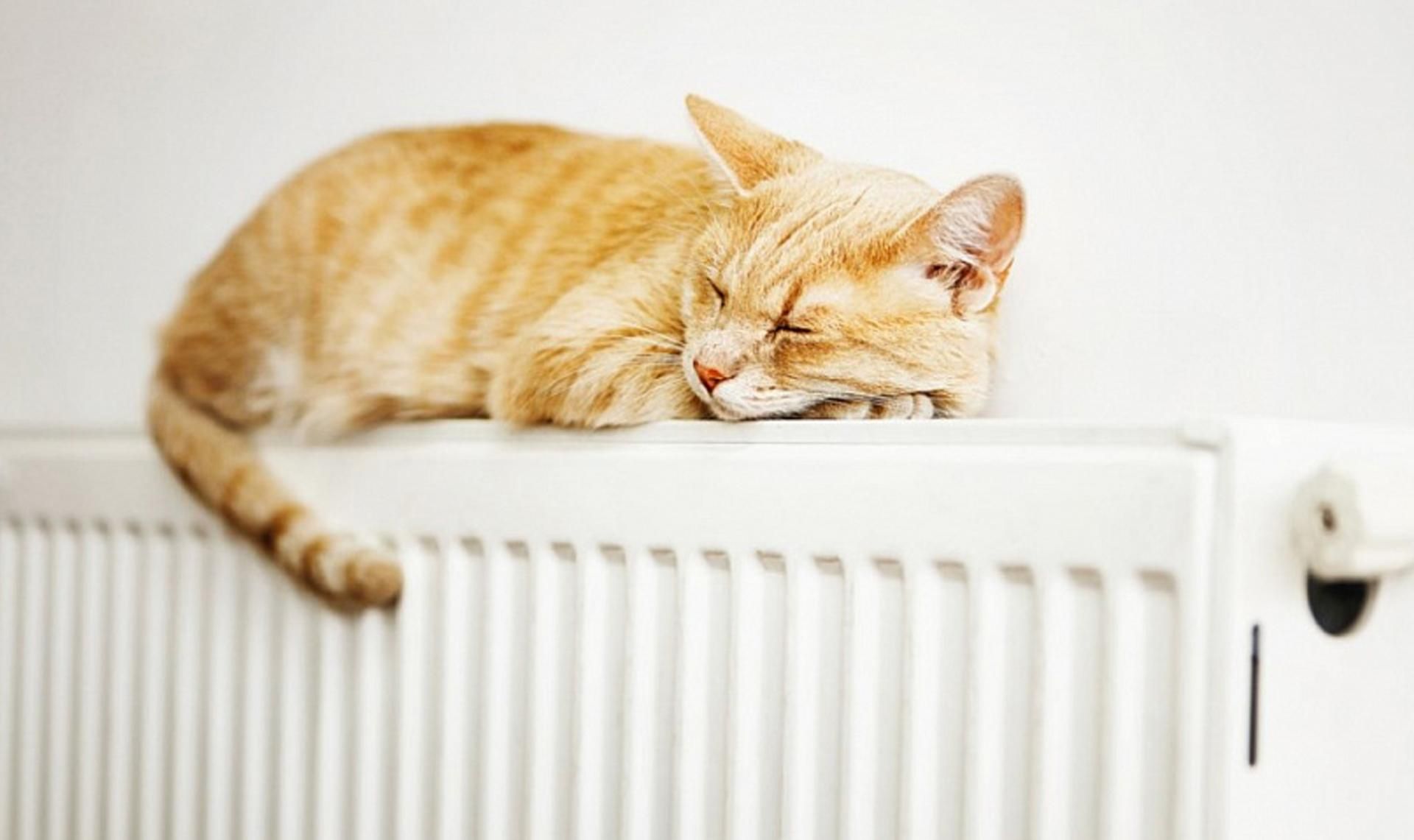 Погода на 8 ноября 2021 в Украине: что прогнозируют синоптики Погода на 8 ноября 2021 в Украине: что прогнозируют синоптики