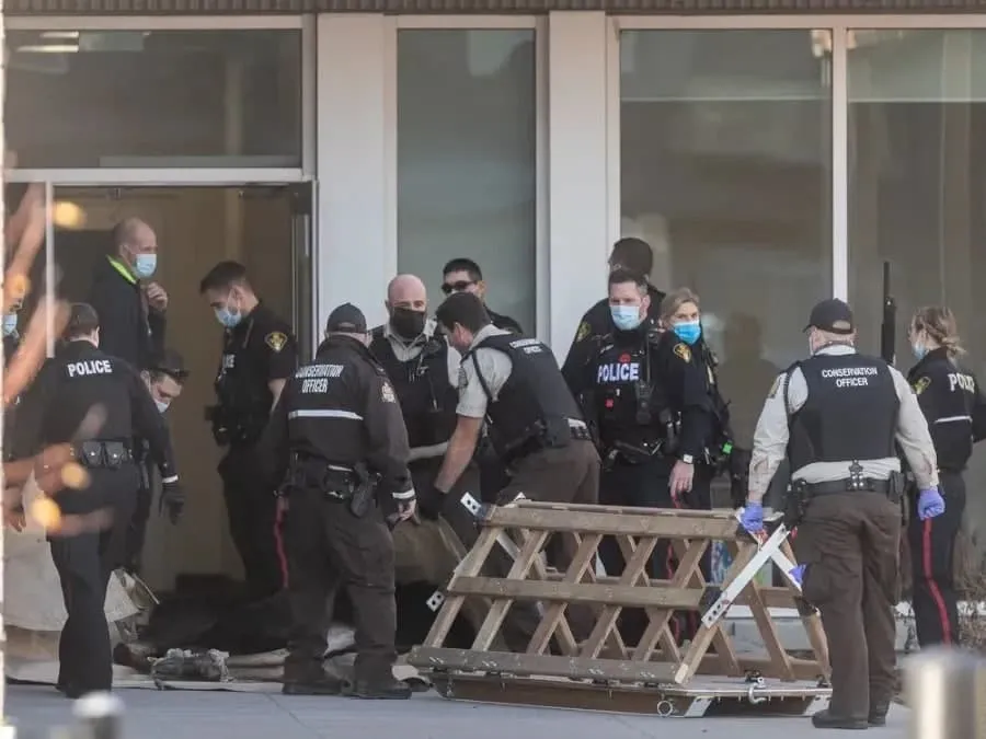 Лось увірвався в школу Лось увірвався в школу