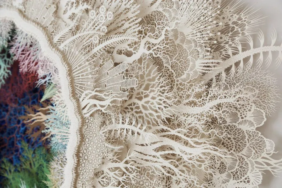 Корали з паперу Рогана Брауна Корали з паперу Рогана Брауна