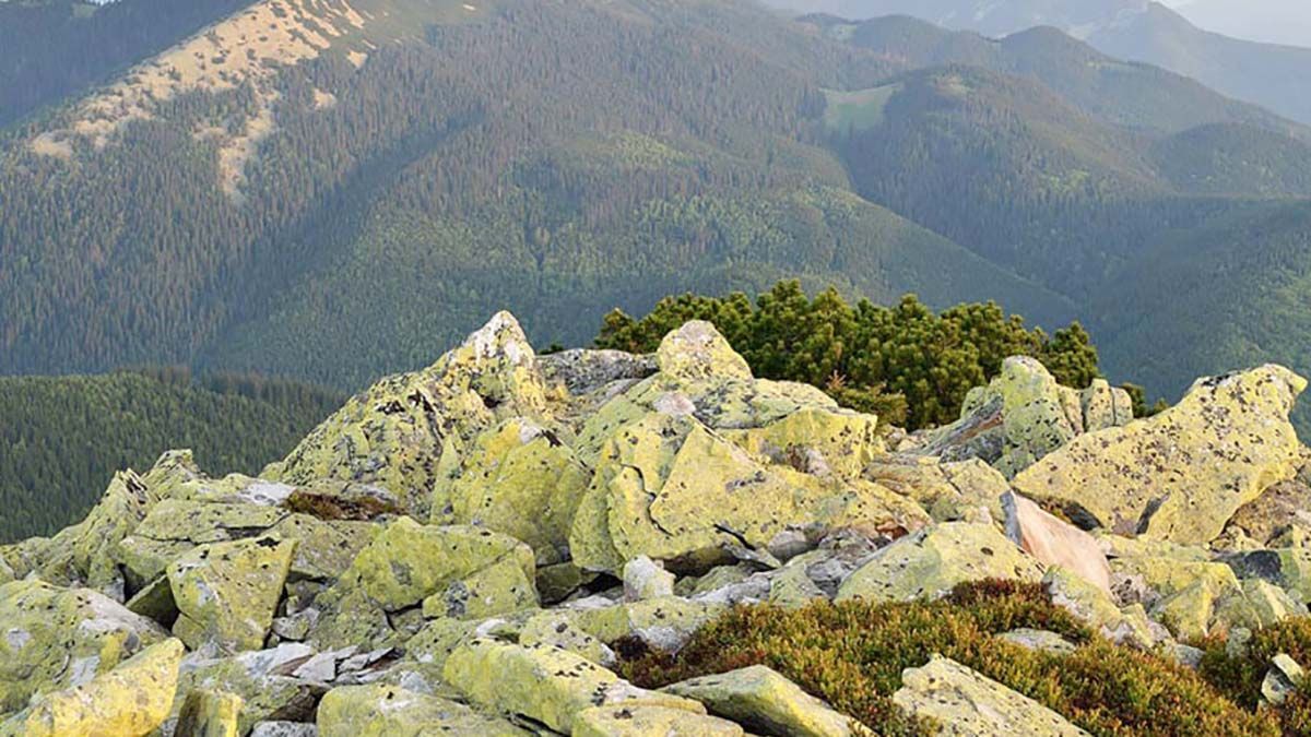 В Карпатах искали 12-летнего мальчика: он отстал от родителей во время схождения с горы В Карпатах искали 12-летнего мальчика: он отстал от родителей во время схождения с горы