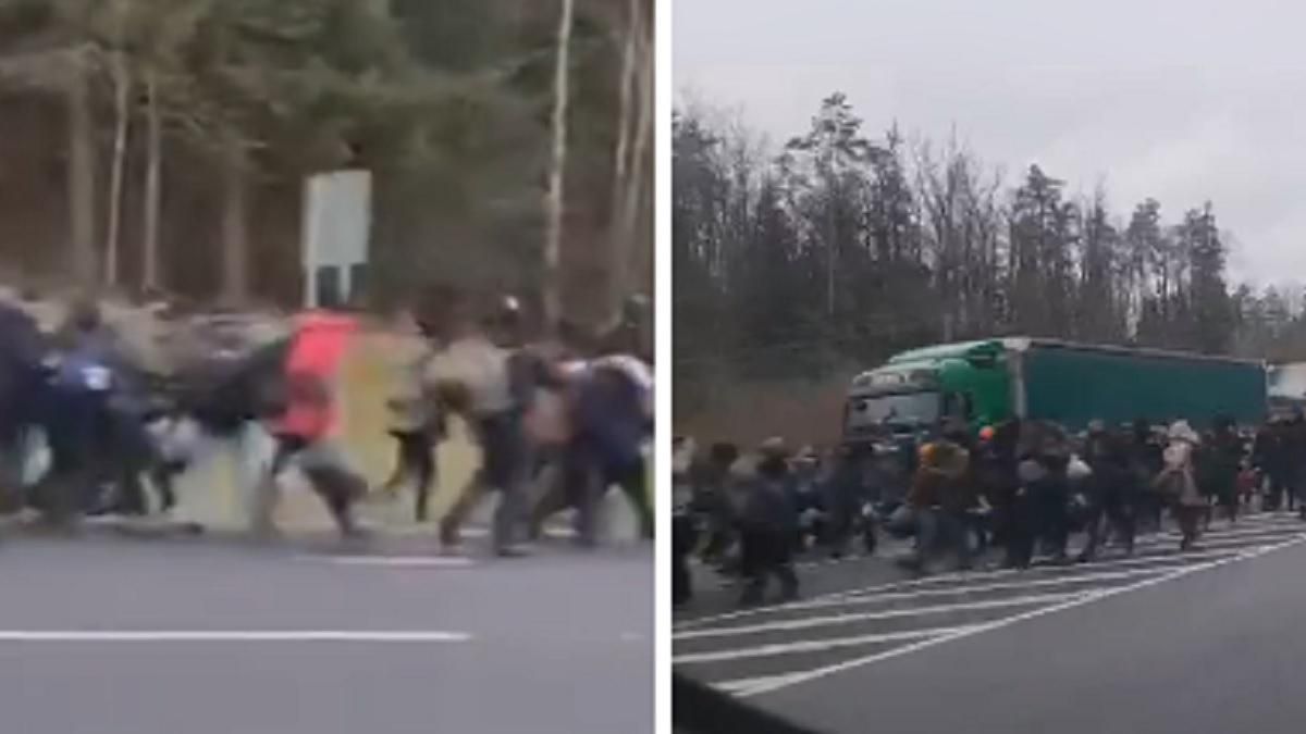 Огромная колонна мигрантов в Беларуси отправилась к границе с Польшей: эксклюзивное видео
