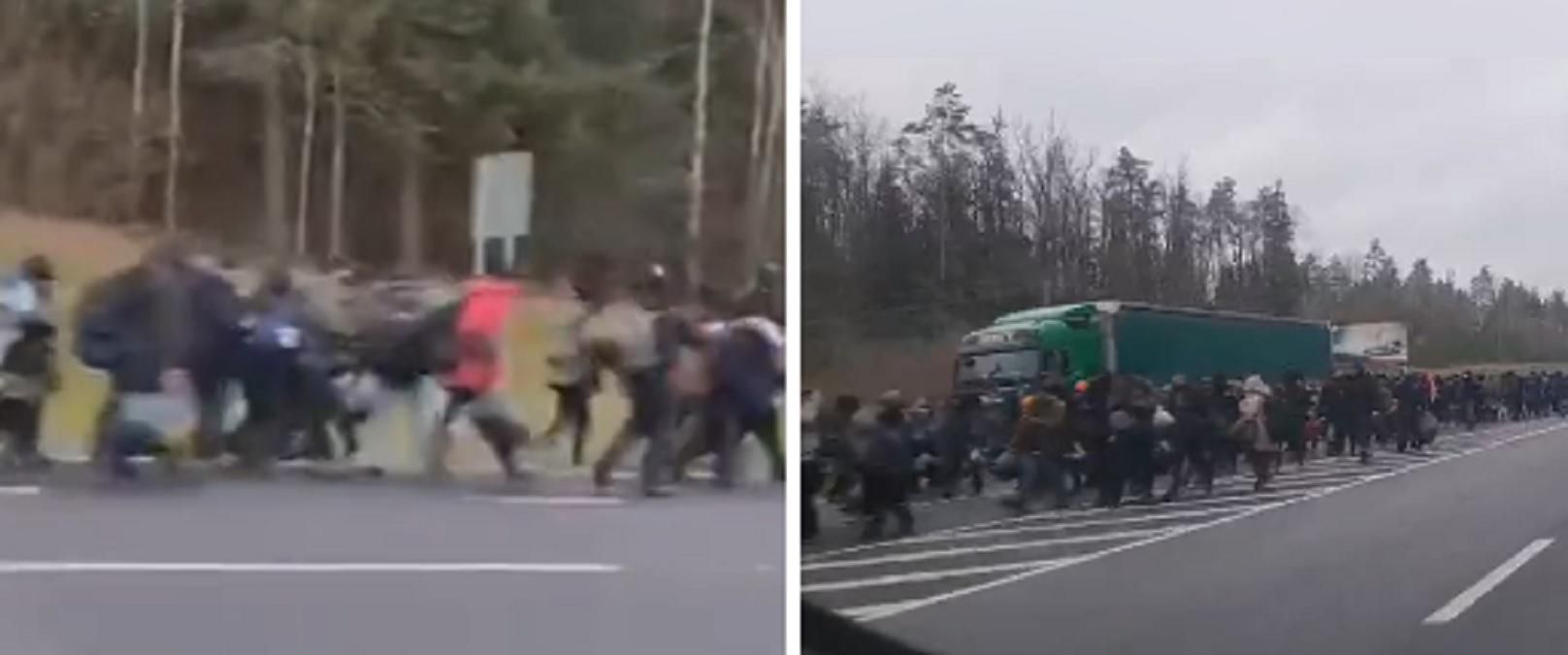 Огромная колонна мигрантов в Беларуси отправилась к границе с Польшей: эксклюзивное видео
