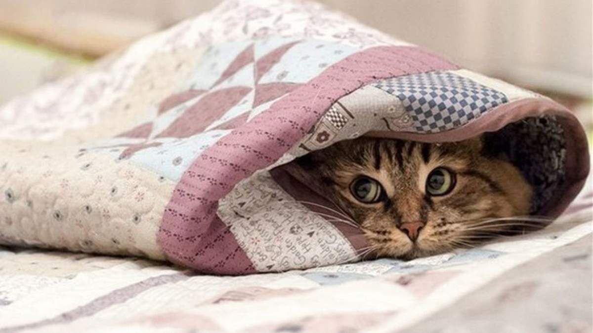 В Україну йде похолодання до -6 градусів: коли вдарять морози - Україна новини - 24 Канал В Україну йде похолодання до -6 градусів: коли вдарять морози - Україна новини - 24 Канал