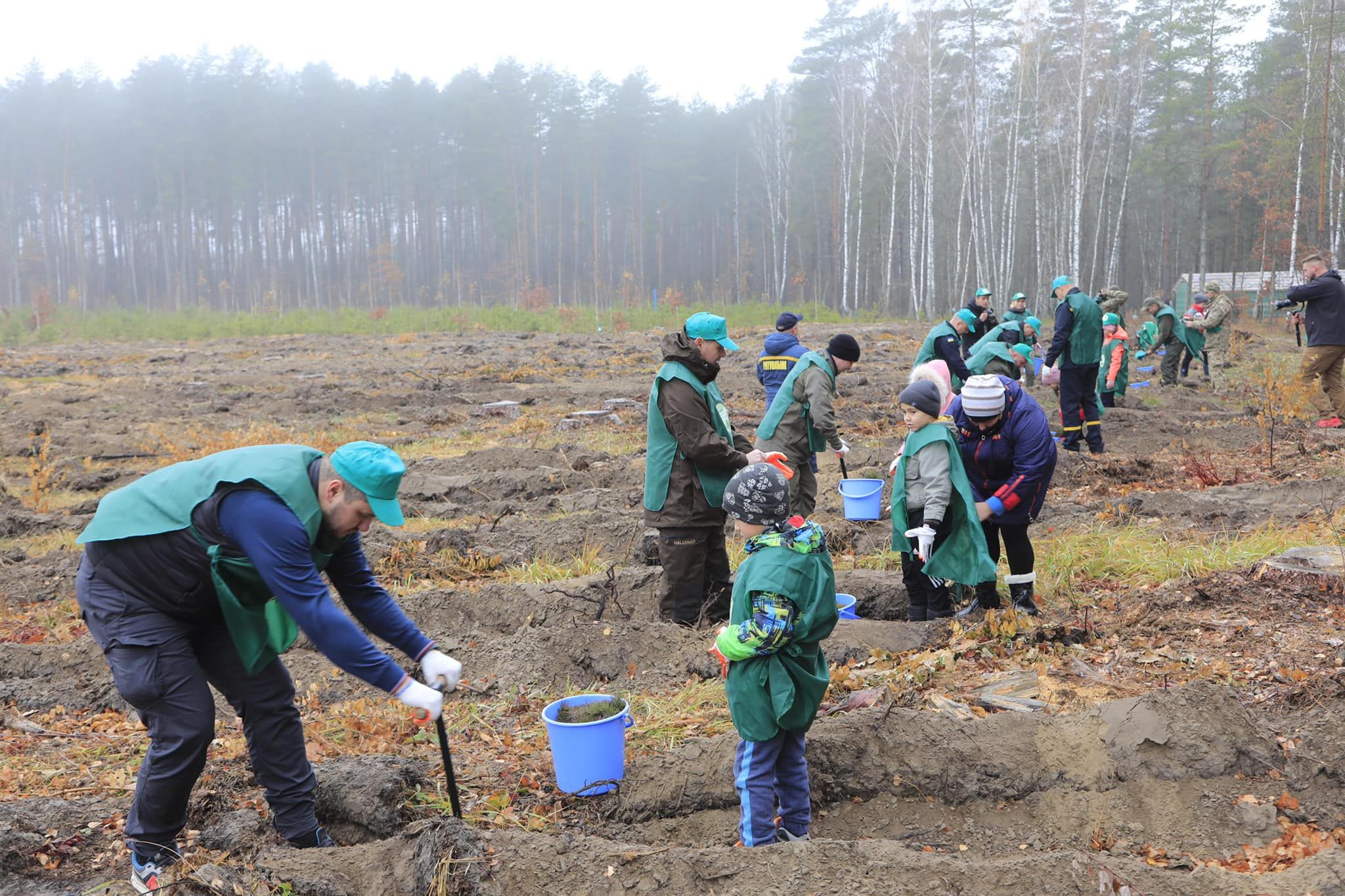 Инициатива Зеленского: сколько деревьев уже успели высадить