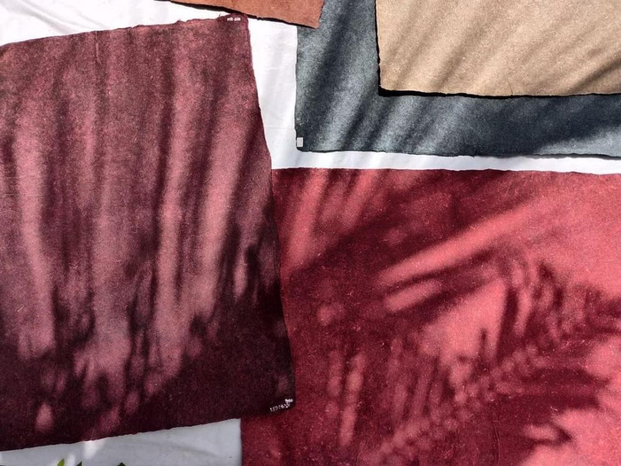 Веганская кожа из кокосовой воды: в Индии представили новый экостартап Веганская кожа из кокосовой воды: в Индии представили новый экостартап