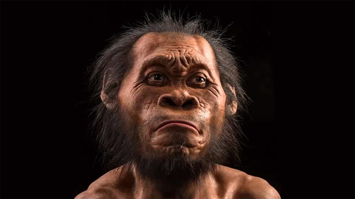 Палеоантропологи нашли останки ребенка Homo naledi