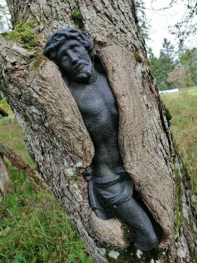 Дерево почти полностью поглотило скульптуру