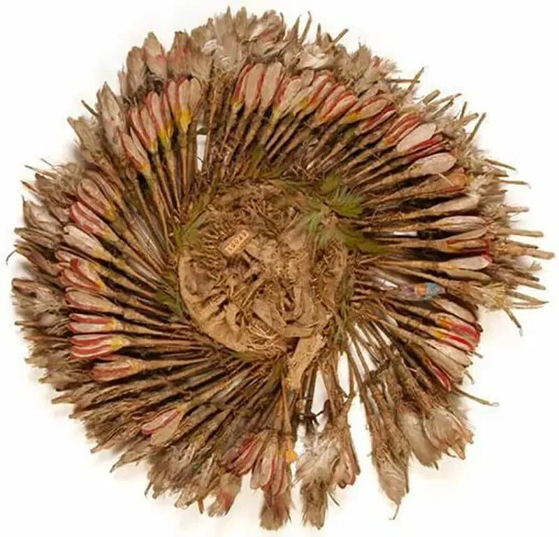 Те, що вважалося головним убором Куаутемока Те, що вважалося головним убором Куаутемока