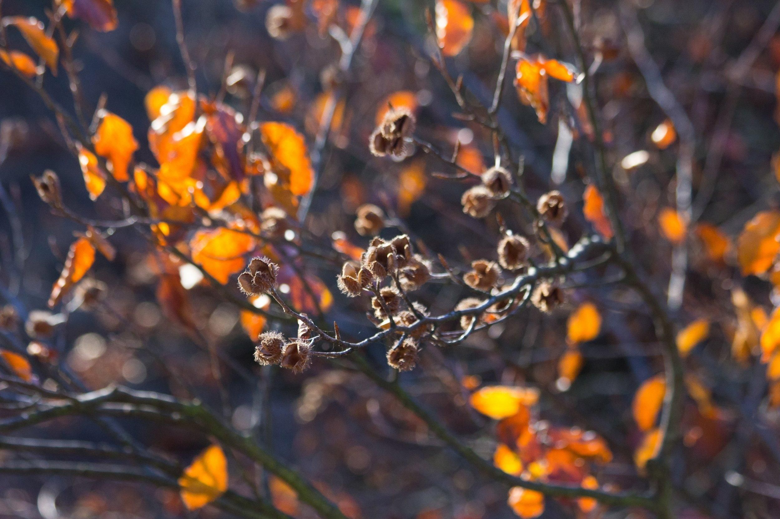 Гололедица, туман и морозы: прогноз погоды на Львовщине на 10 – 14 ноября Гололедица, туман и морозы: прогноз погоды на Львовщине на 10 – 14 ноября