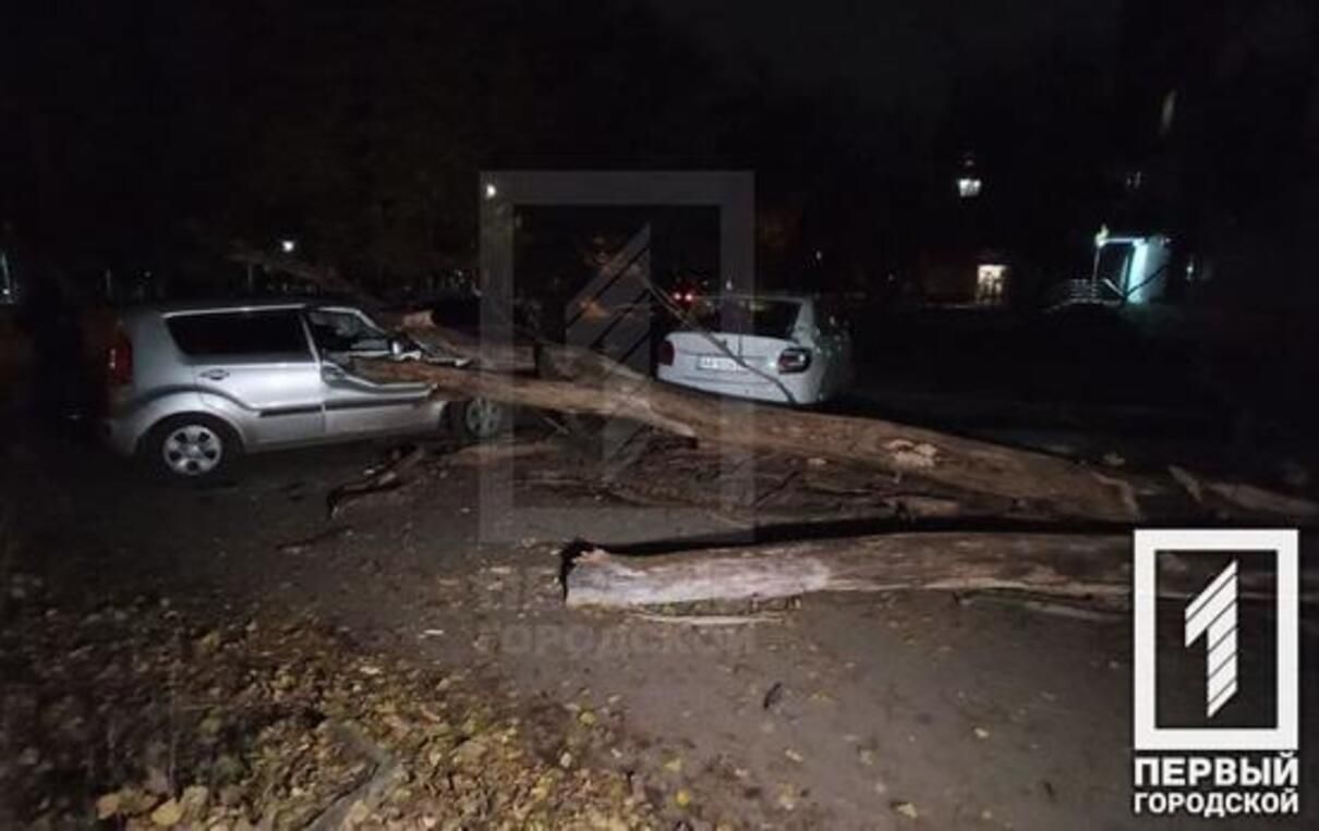 В Кривом Роге дерево упало на 4 автомобиля, есть пострадавший