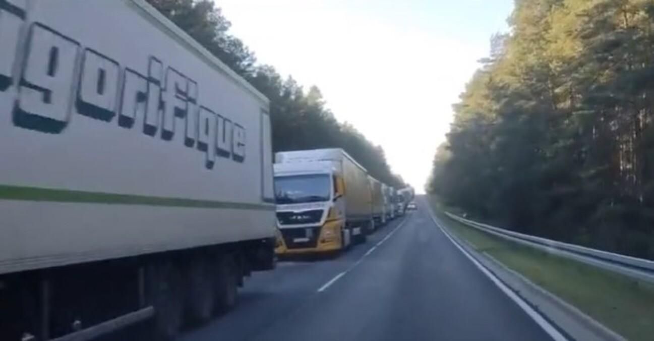 Транспортный коллапс: на границе Беларуси и Польши образовалась длинная очередь из фур