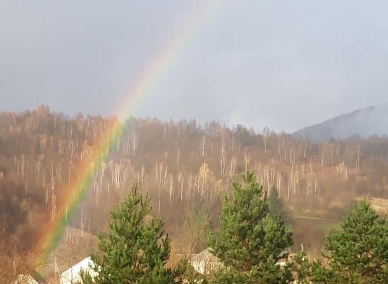 Веселка посеред листопада: на Закарпатті зафіксували незвичне природне явище - Україна новини - 24 Канал Веселка посеред листопада: на Закарпатті зафіксували незвичне природне явище - Україна новини - 24 Канал