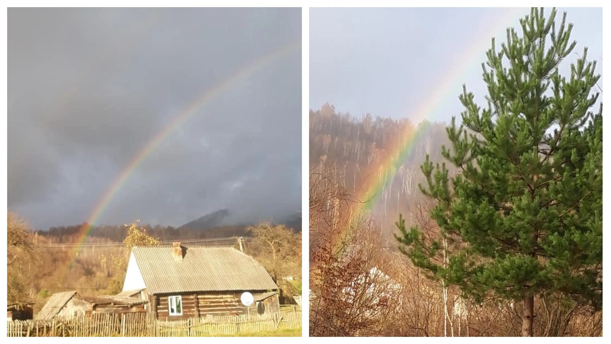 Веселка у листопаді