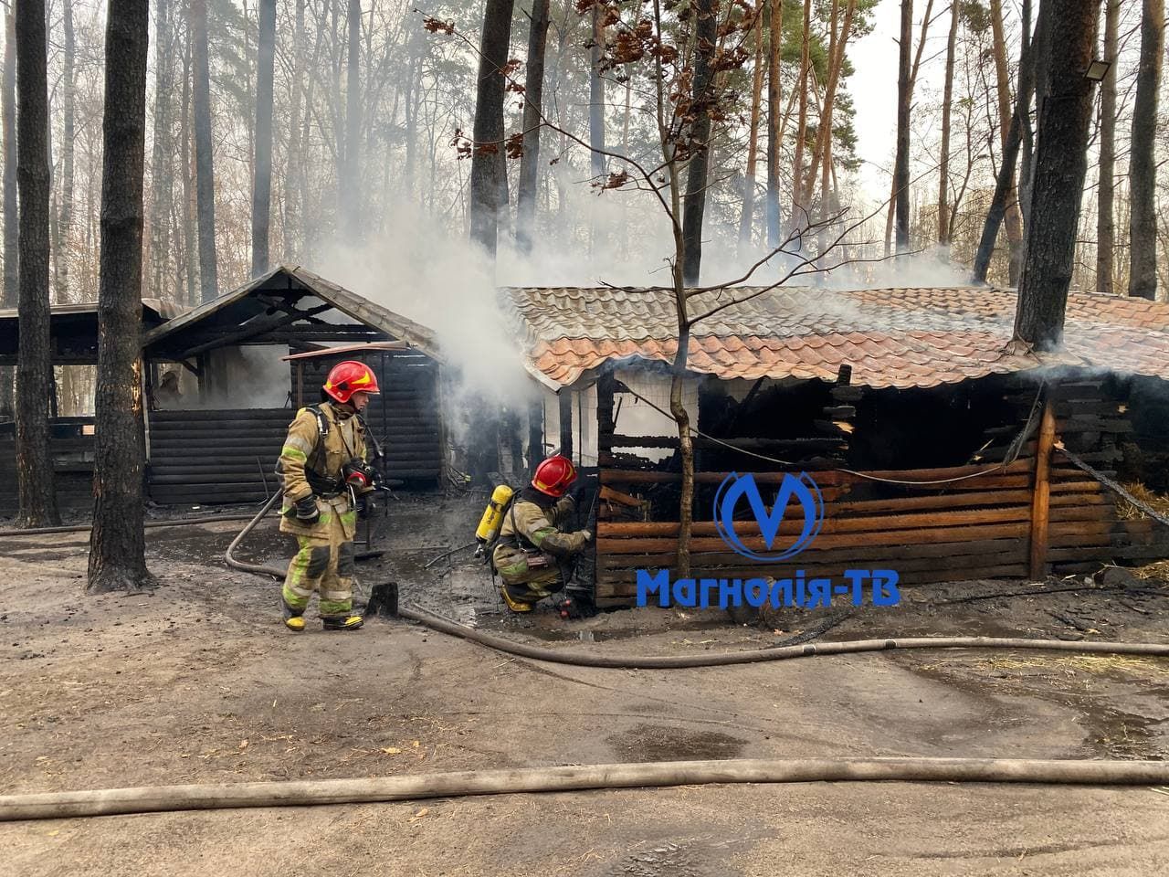 У Києві спалахнула масштабна пожежа у парку "Совки": згорів вуличний звіринець - Новини Києва - Київ