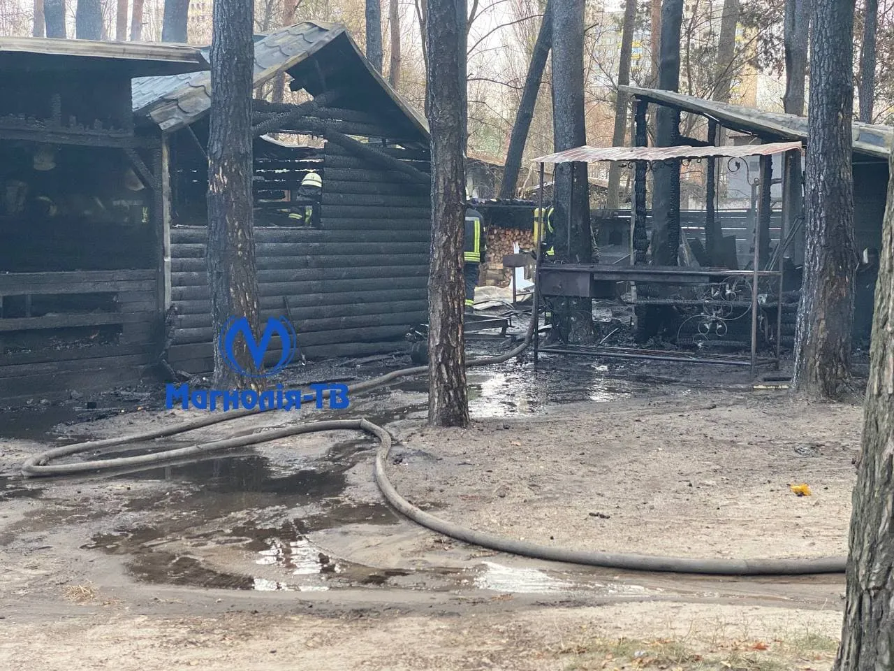 Пожежа у Совках, горіли будиночки для персоналу в шаличній, вогонь підійшов до звіринця