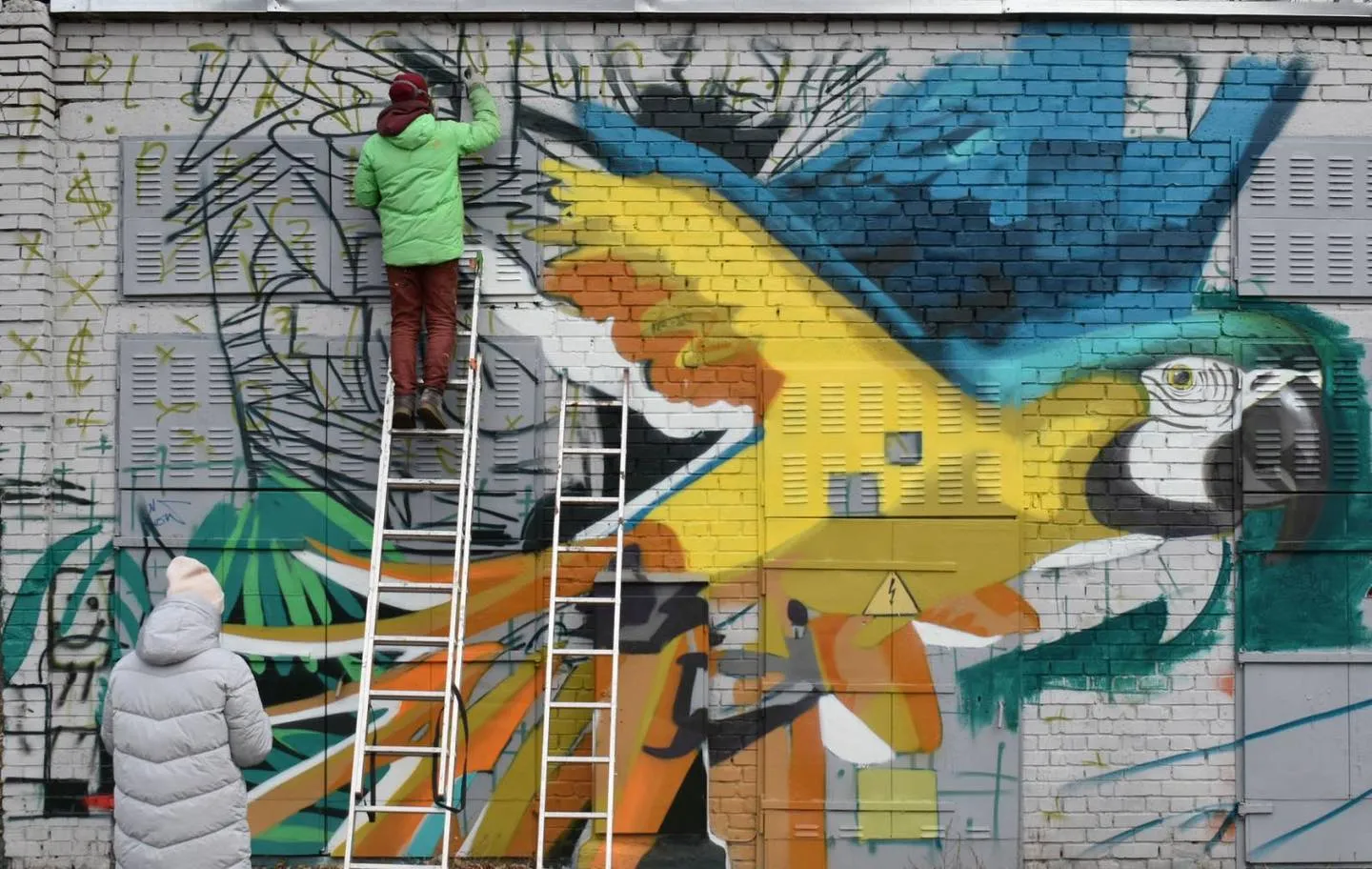 Мурал у Києві, на Оболоні намалювали папугу ару, художник Віталій Гідеван