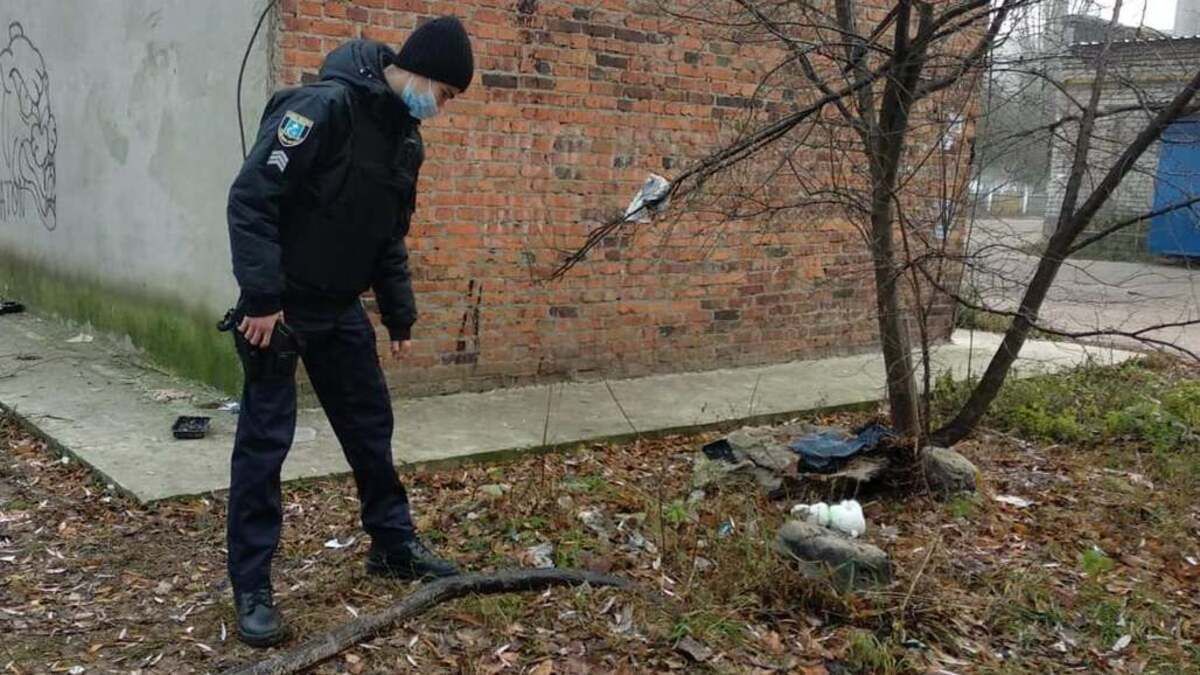 На Сумщині посеред вулиці знайшли триметрового пітона - Новини Сум - 24 Канал