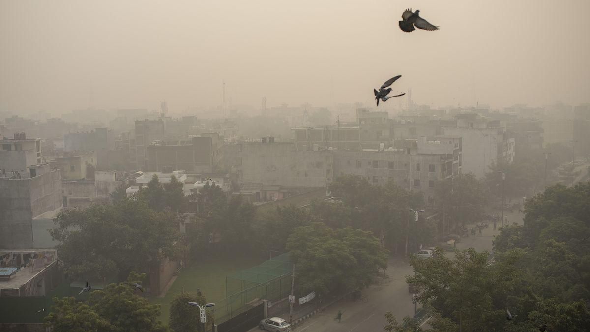 Ужасный смог укрыл столицу Индии: власти закрывают школы и просят людей работать дистанционно - 24 Канал Ужасный смог укрыл столицу Индии: власти закрывают школы и просят людей работать дистанционно - 24 Канал