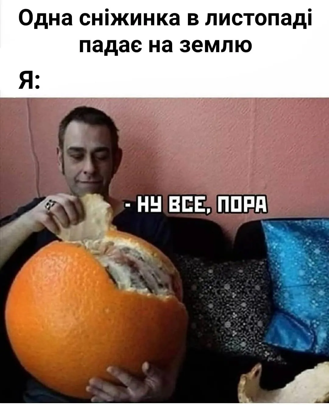 меми тижня