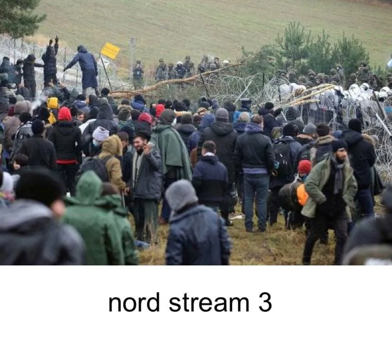 меми тижня меми тижня