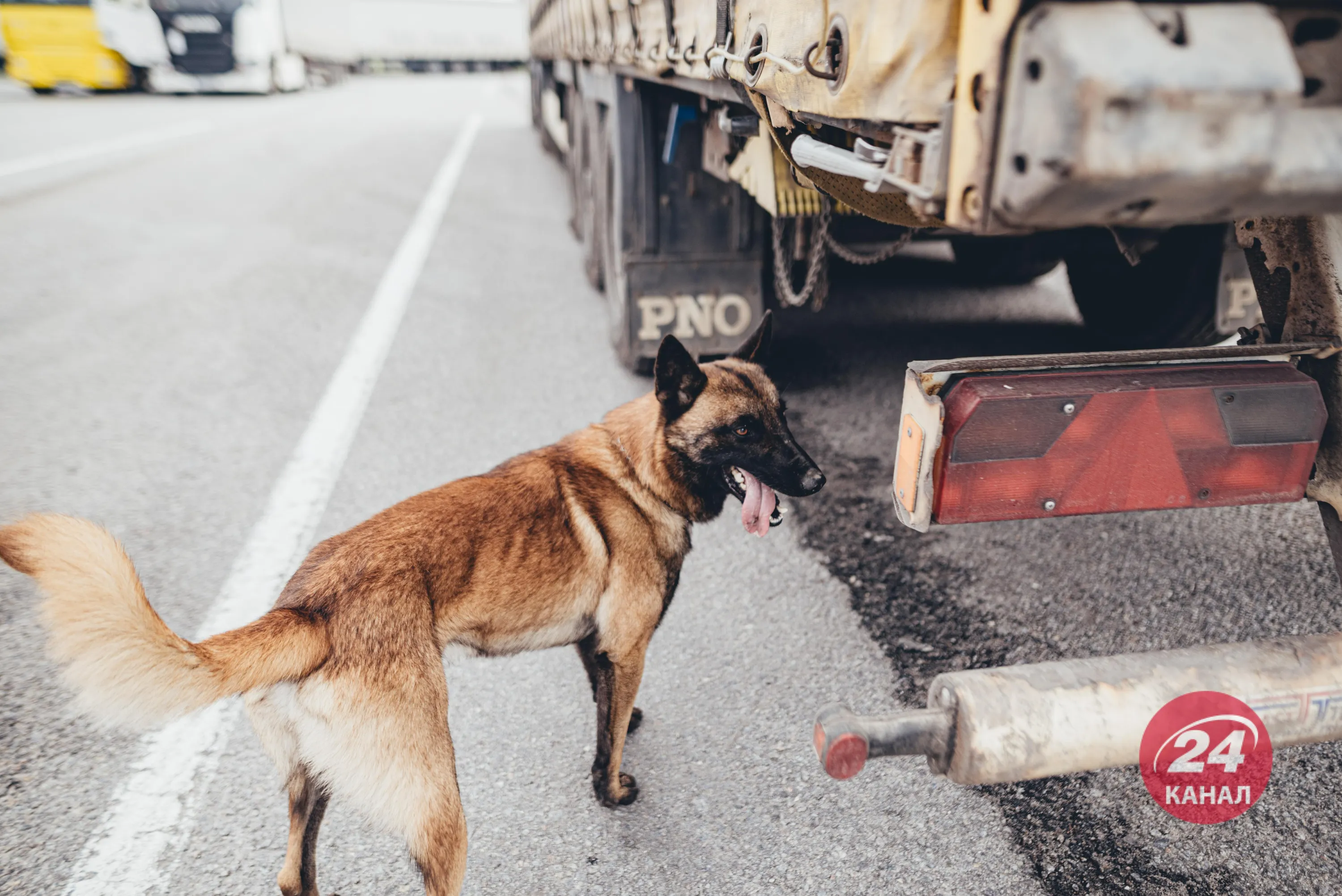 Кінологічний навчальний центр, Рава-Руська, Держприкордонслужба