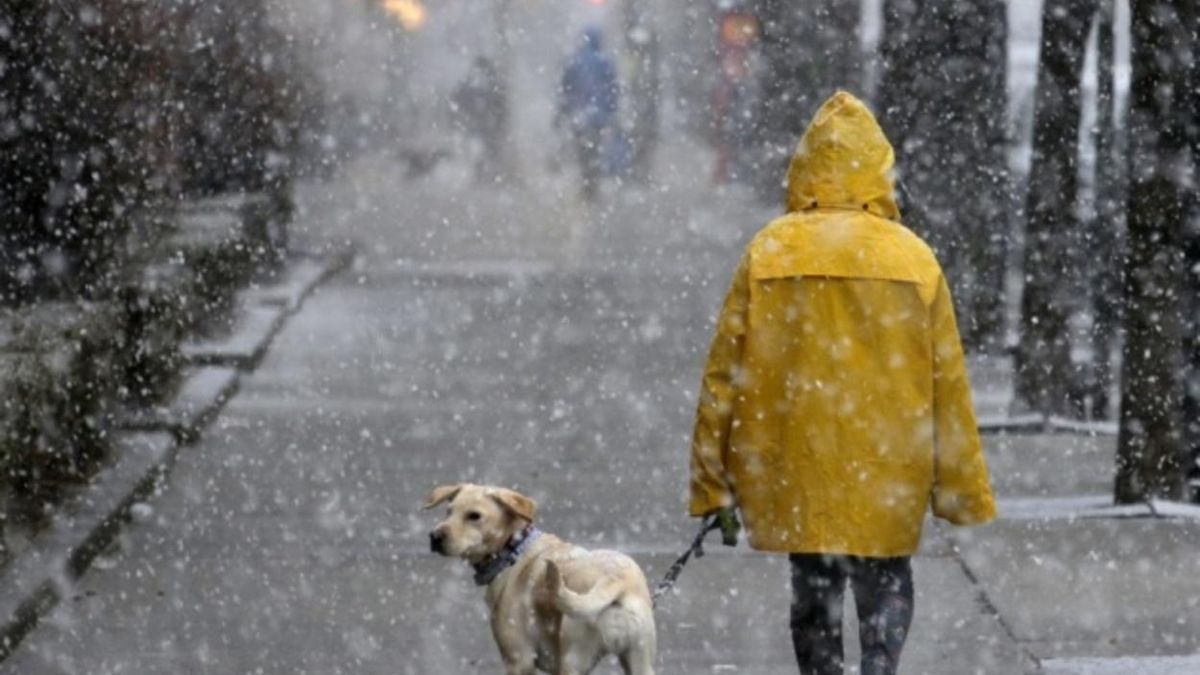 Во Львовской области ожидают первый снег: прогноз погоды на 16 – 20 ноября