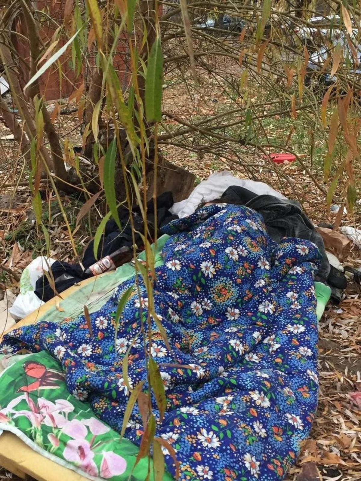 Історія хлопця, який жив під деревом у Києві, отримала щасливе продовження - Новини Київ - Київ Історія хлопця, який жив під деревом у Києві, отримала щасливе продовження - Новини Київ - Київ