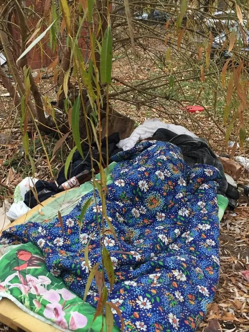 Бездомний у Києві жив під деревом, хлопцю з бульвару Вацлава Гавела зроблять паспорт і знайшли житло Бездомний у Києві жив під деревом, хлопцю з бульвару Вацлава Гавела зроблять паспорт і знайшли житло