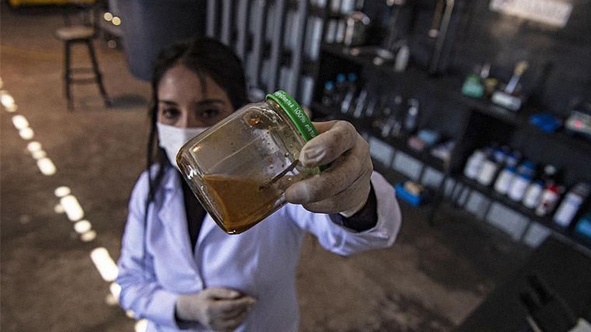 Чилійська дослідниця навчила бактерії поїдати метал: перспективи відкриття - Новини технологій - Техно Чилійська дослідниця навчила бактерії поїдати метал: перспективи відкриття - Новини технологій - Техно