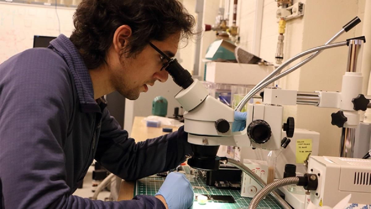 Ученые открыли новый материал, который может обладать двумя типами сверхпроводимости Ученые открыли новый материал, который может обладать двумя типами сверхпроводимости