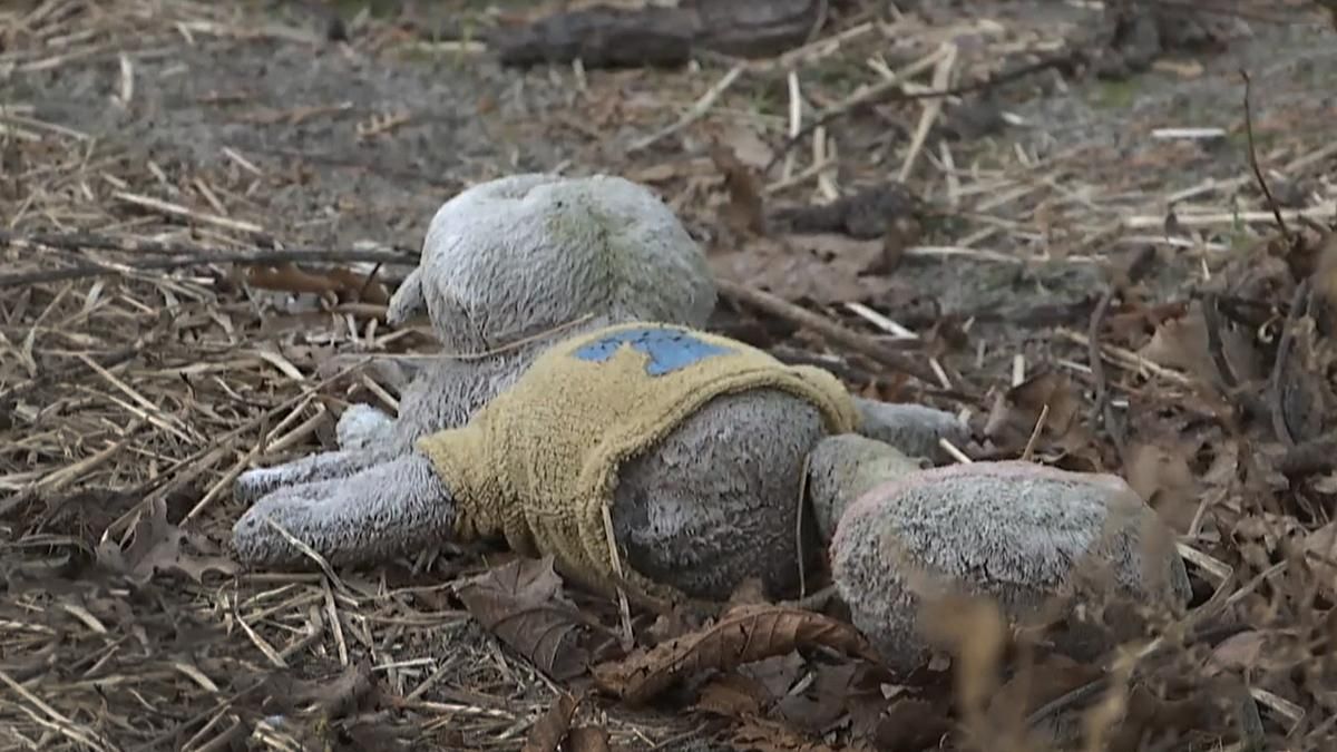 Вбивство 4-річної дівчинки на Дніпропетровщині: нові деталі моторошного злочину - 24 Канал