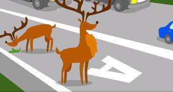 "Не будь оленем": КГГА сняла креативный мультик о водителях-нарушителях