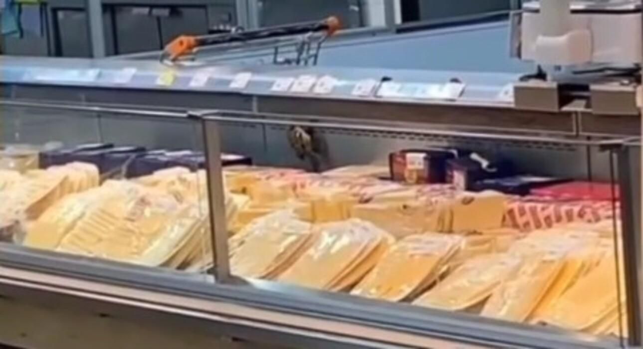 На Троєщині двоє горобців ласували сиром у супермаркеті: кумедне відео - Новини Києва - Київ