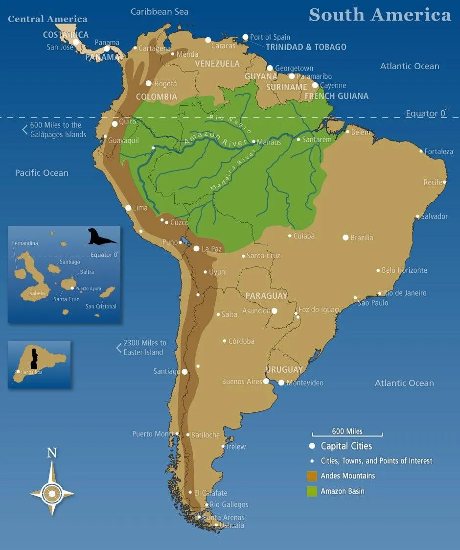 ліси Амазонки ліси Амазонки