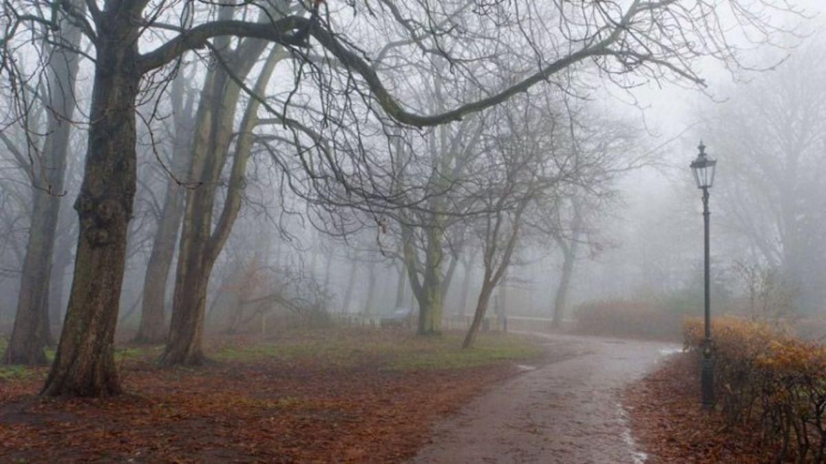 Погода на 22 ноября 2021 в Украине: что прогнозируют синоптики Погода на 22 ноября 2021 в Украине: что прогнозируют синоптики