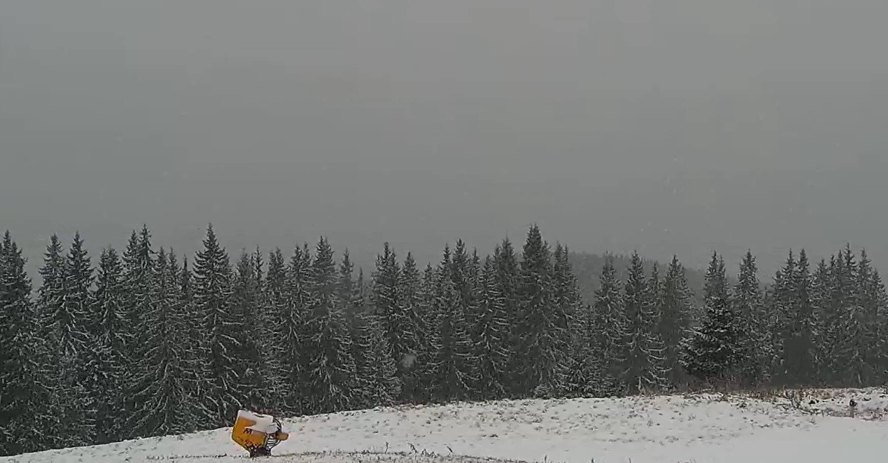 Гірськолижні курорти замітає снігом