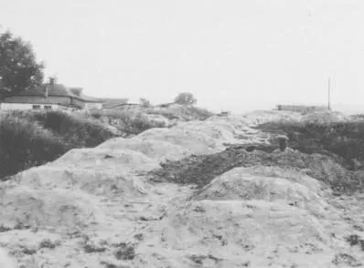 Вінербергер Вінербергер