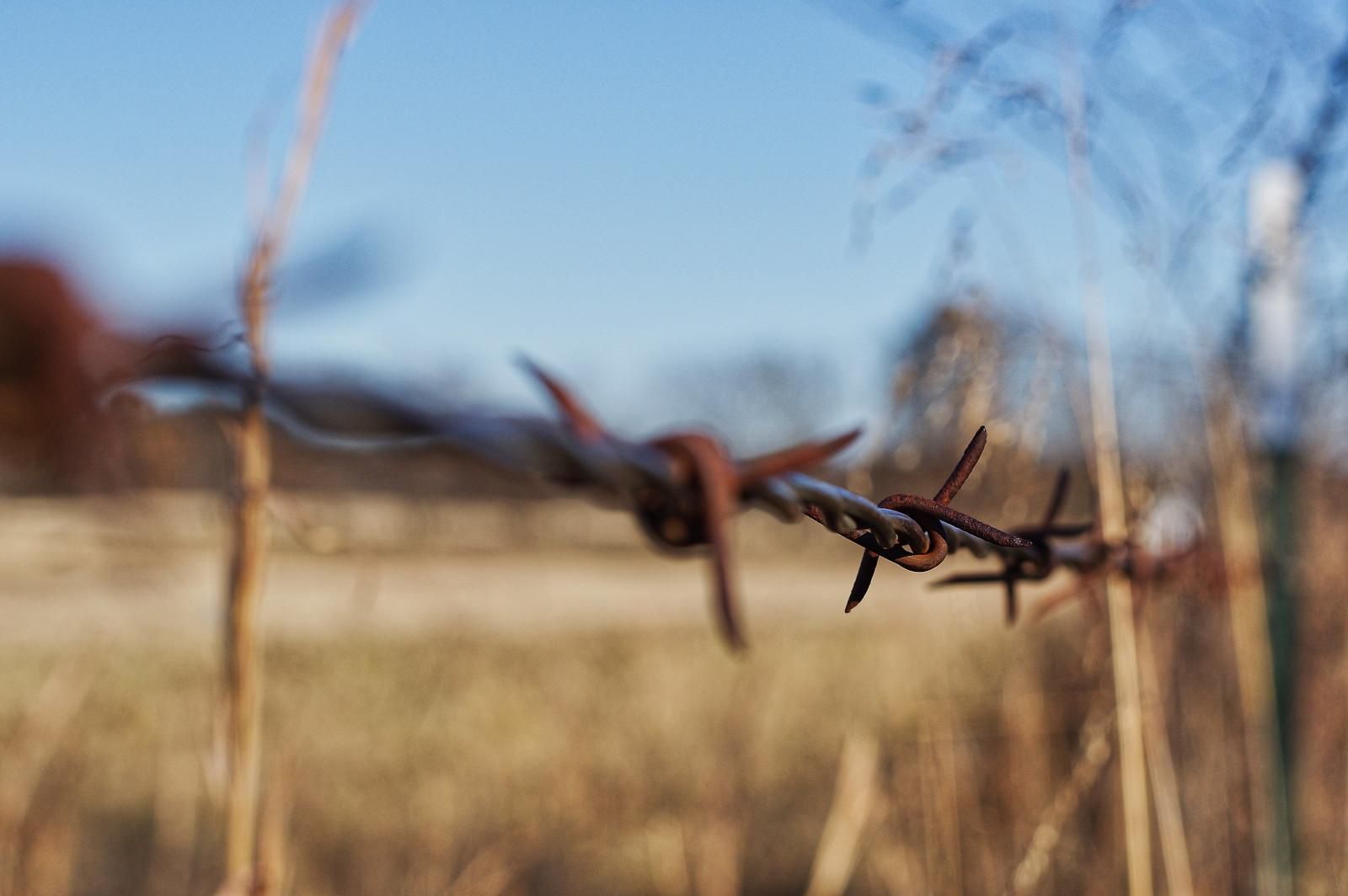 Эстония вводит временный запрет на полеты у российской границы Эстония вводит временный запрет на полеты у российской границы