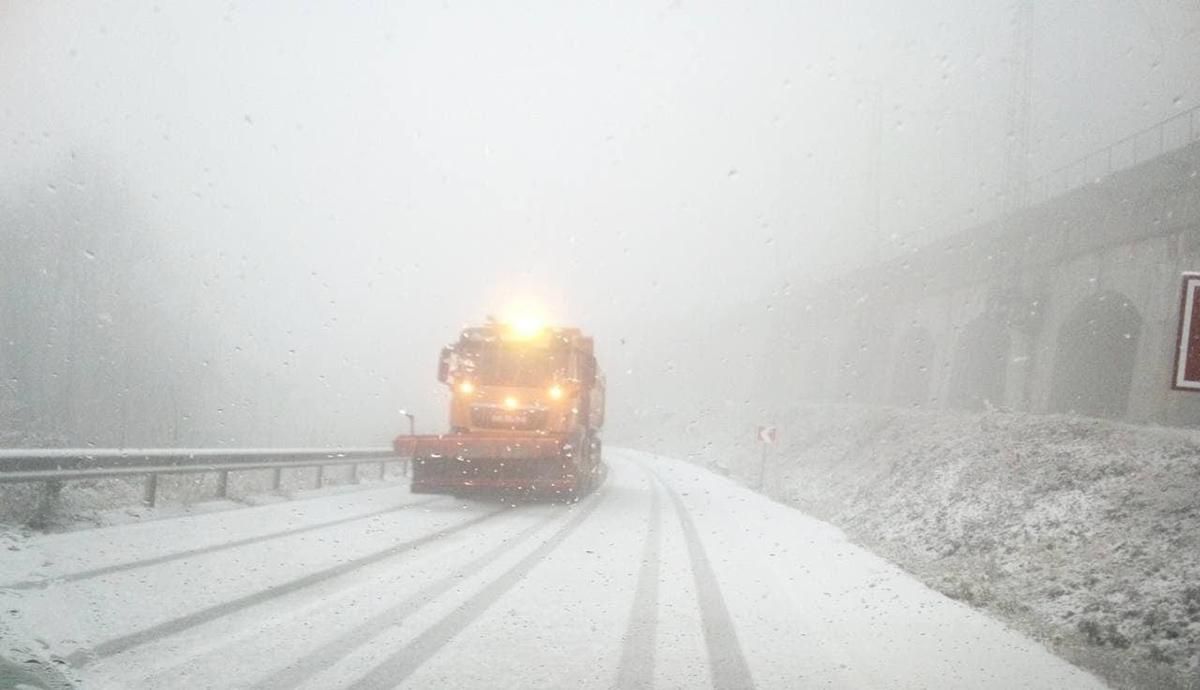 Замело: гірські траси на Закарпатті почали розчищати від першого снігу - 24 Канал