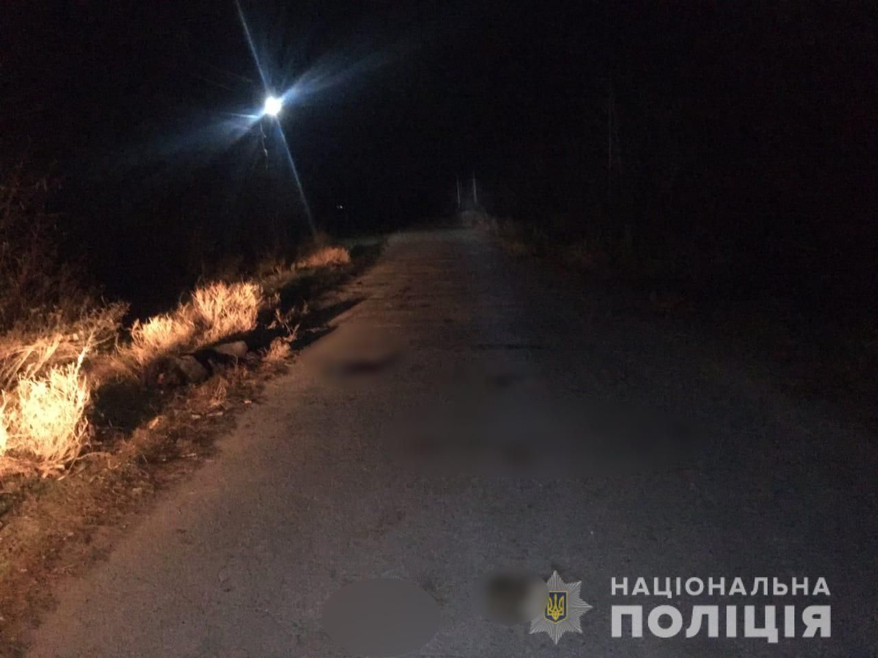Нашли посреди дороги: под Одессой грузовик насмерть сбил женщину