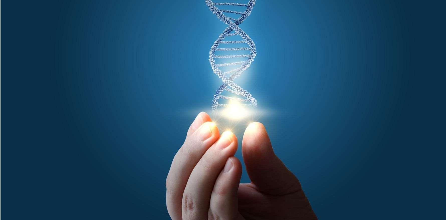 Вчені дослідили генетичну еволюцію європейців за останні кілька тисяч років - Новини технологій - Техно Вчені дослідили генетичну еволюцію європейців за останні кілька тисяч років - Новини технологій - Техно