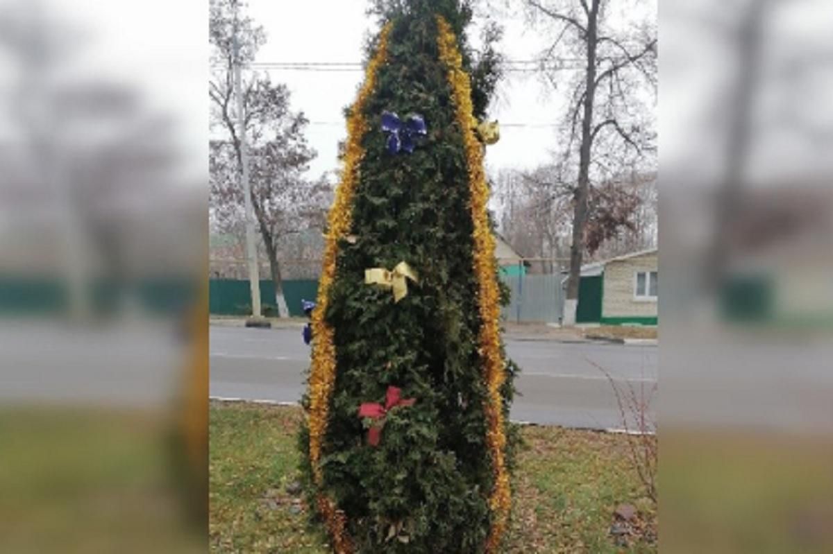 У стилі похоронного вінка: у Росії до Нового року специфічно "прикрасили" туї - 24 Канал