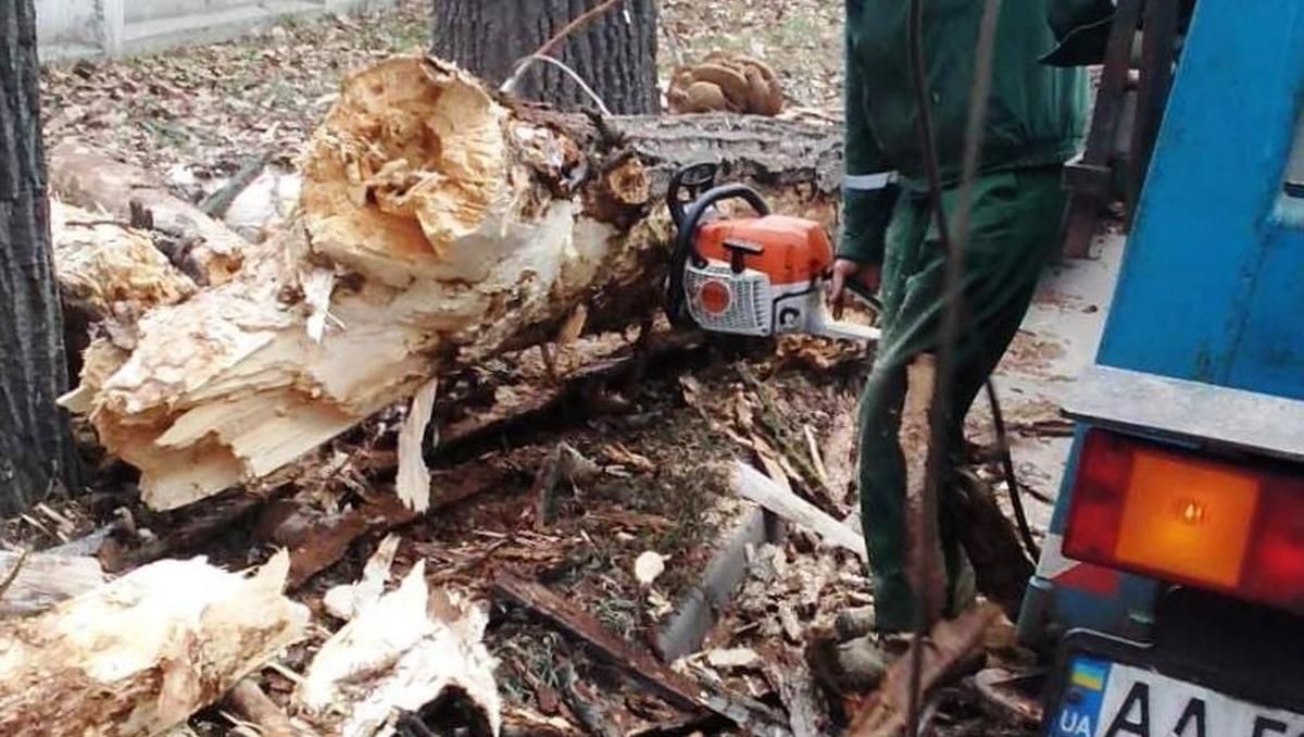У Київзеленбуді показали наслідки потужного буревію у Києві: промовисті фото - Новини Києва - Київ У Київзеленбуді показали наслідки потужного буревію у Києві: промовисті фото - Новини Києва - Київ