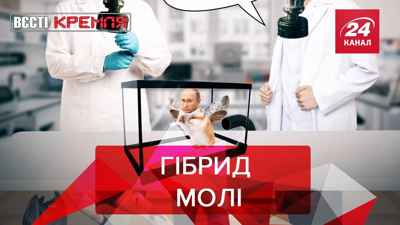 Вєсті Кремля: Путін готовий взяти участь у випробуваннях вакцини після хом'яків - Новини Росія - 24 Канал