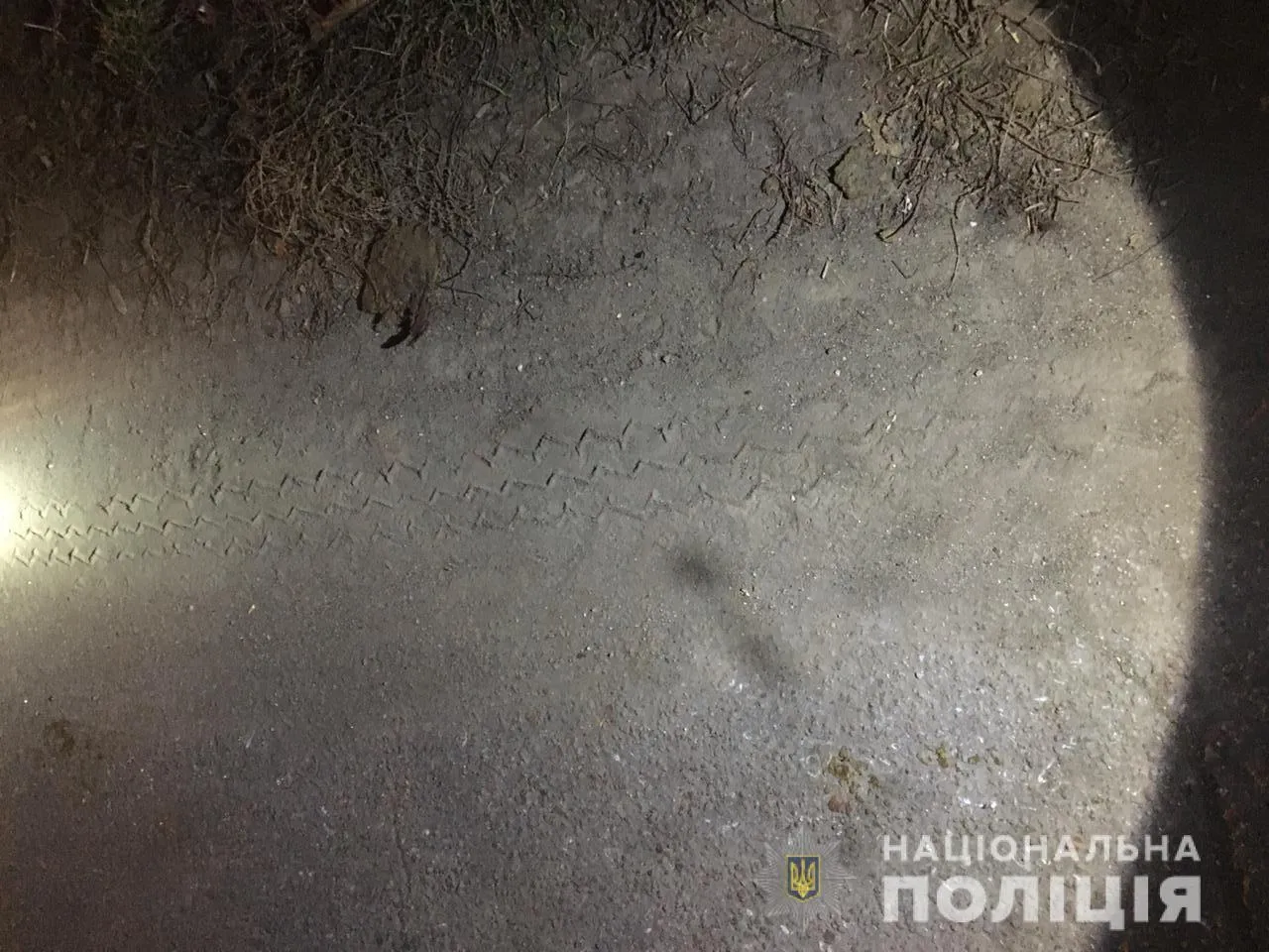 На Одещині вантажівка збила жінку На Одещині вантажівка збила жінку