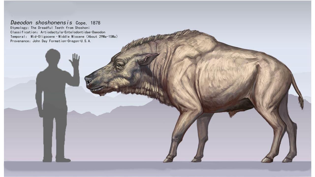 Ученые поняли, что вызвало катастрофическое похолодание миллионы лет назад Ученые поняли, что вызвало катастрофическое похолодание миллионы лет назад